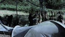 Campement novusien
