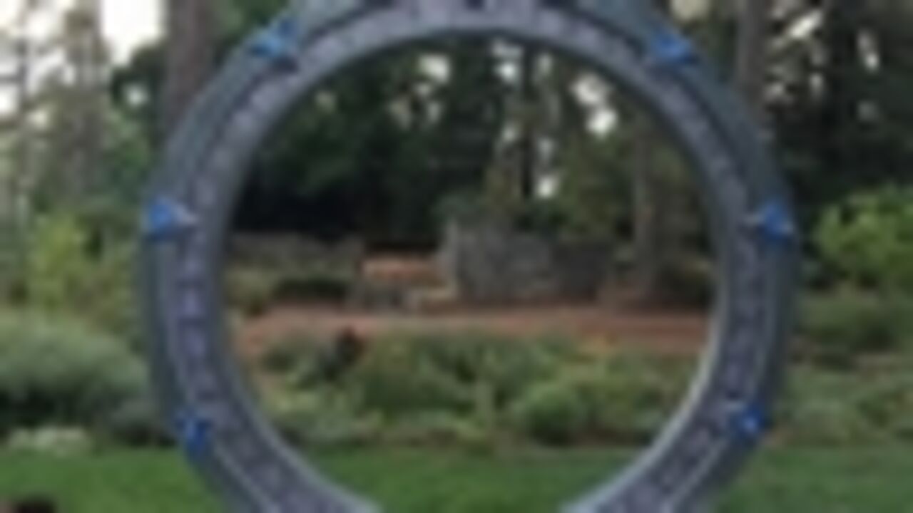 Insolite : quand Stargate s'invite à un mariage