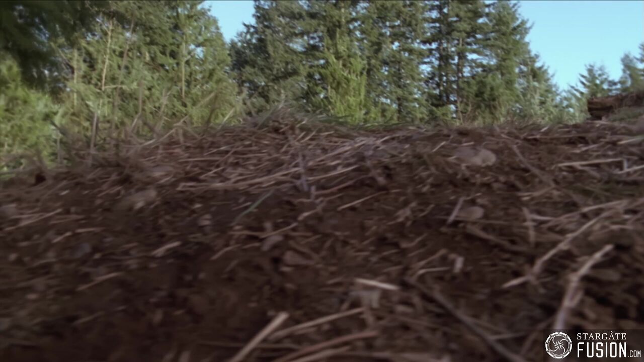 Rédemption 2/2