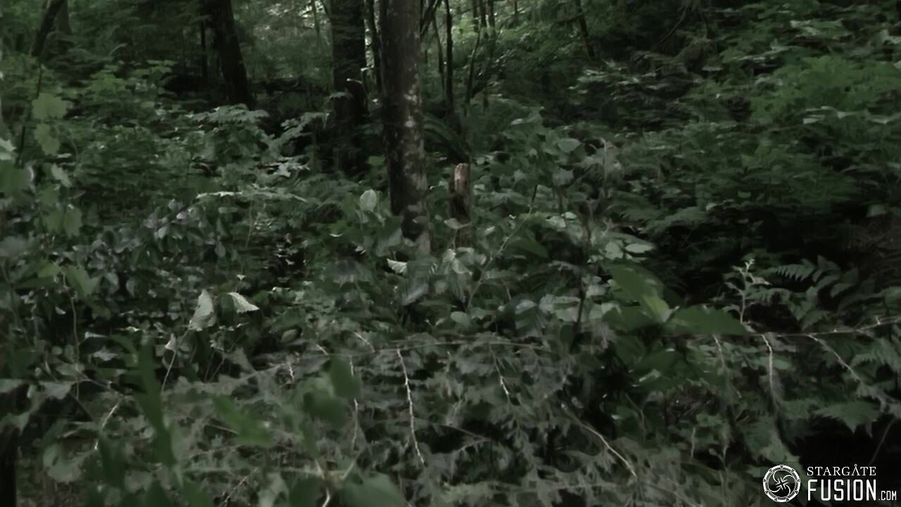 Paradis perdu