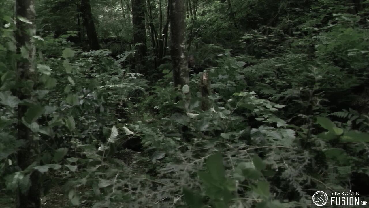 Paradis perdu