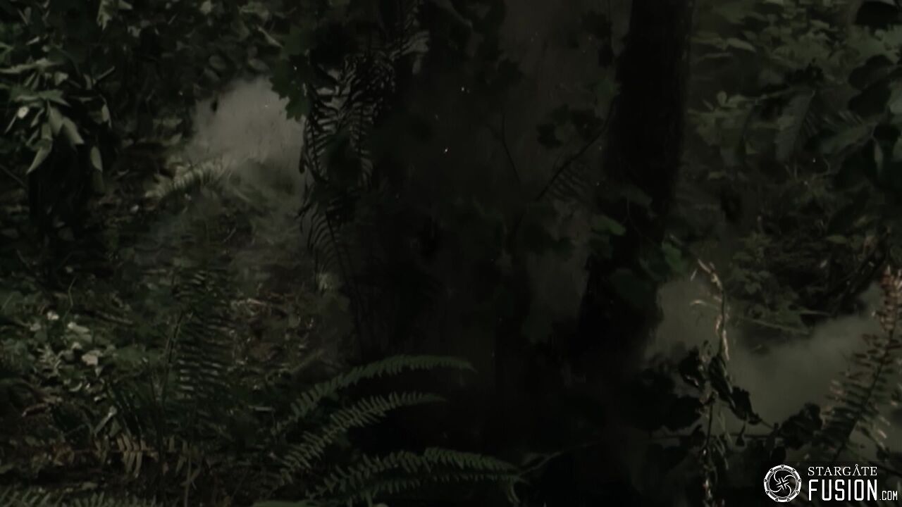 Paradis perdu