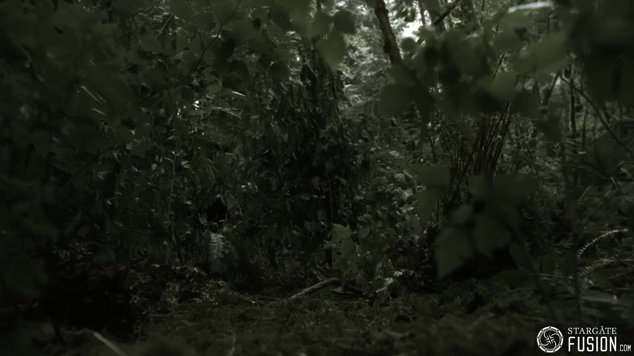 Paradis perdu