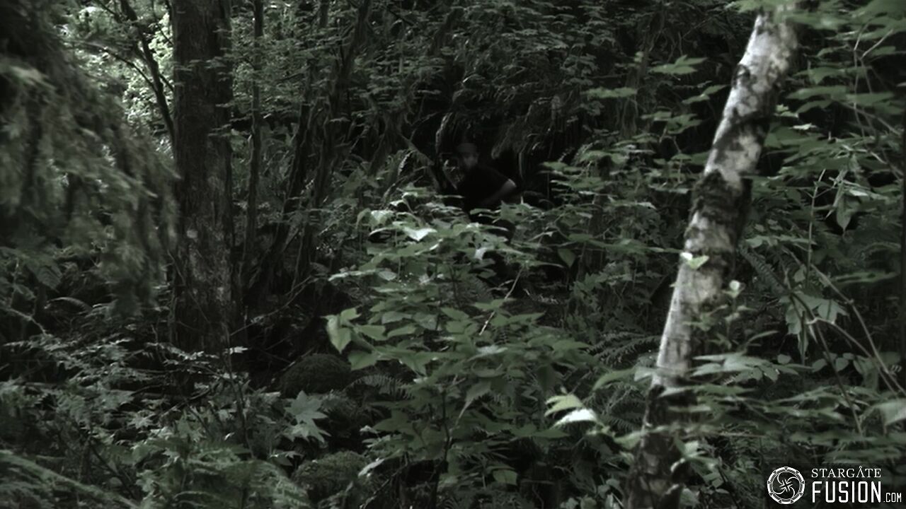 Paradis perdu