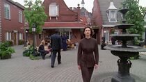 Le réseau