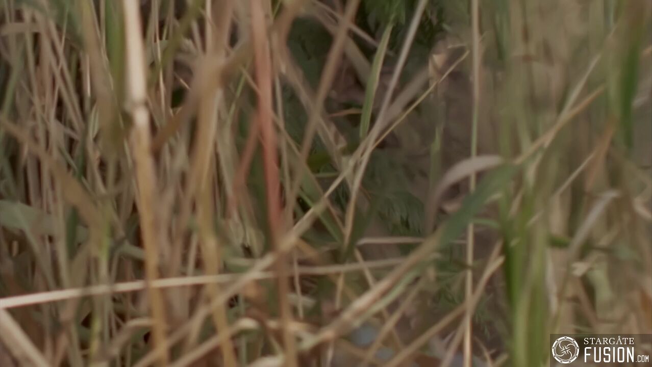 Cassandra