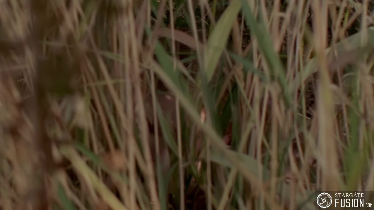 Cassandra