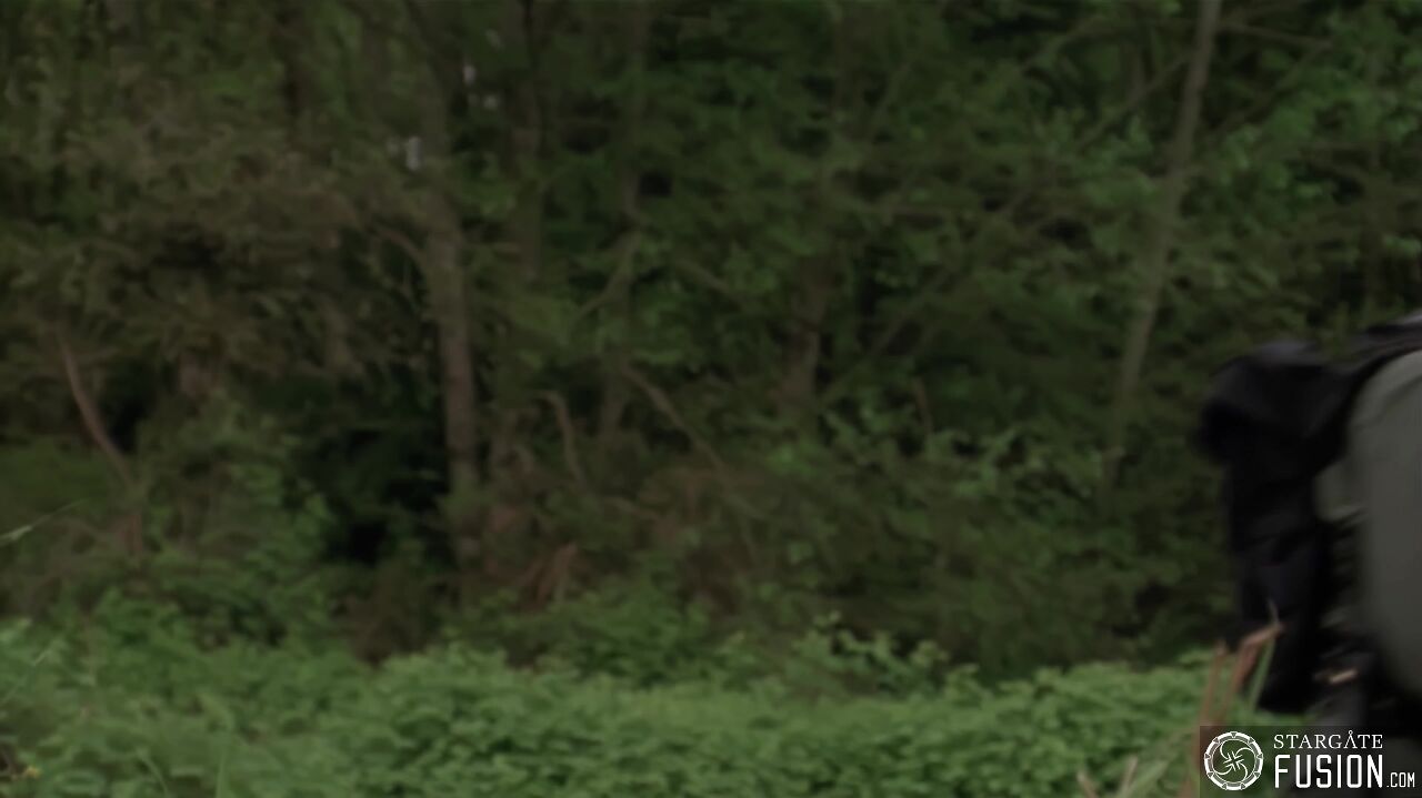 Le Vengeur