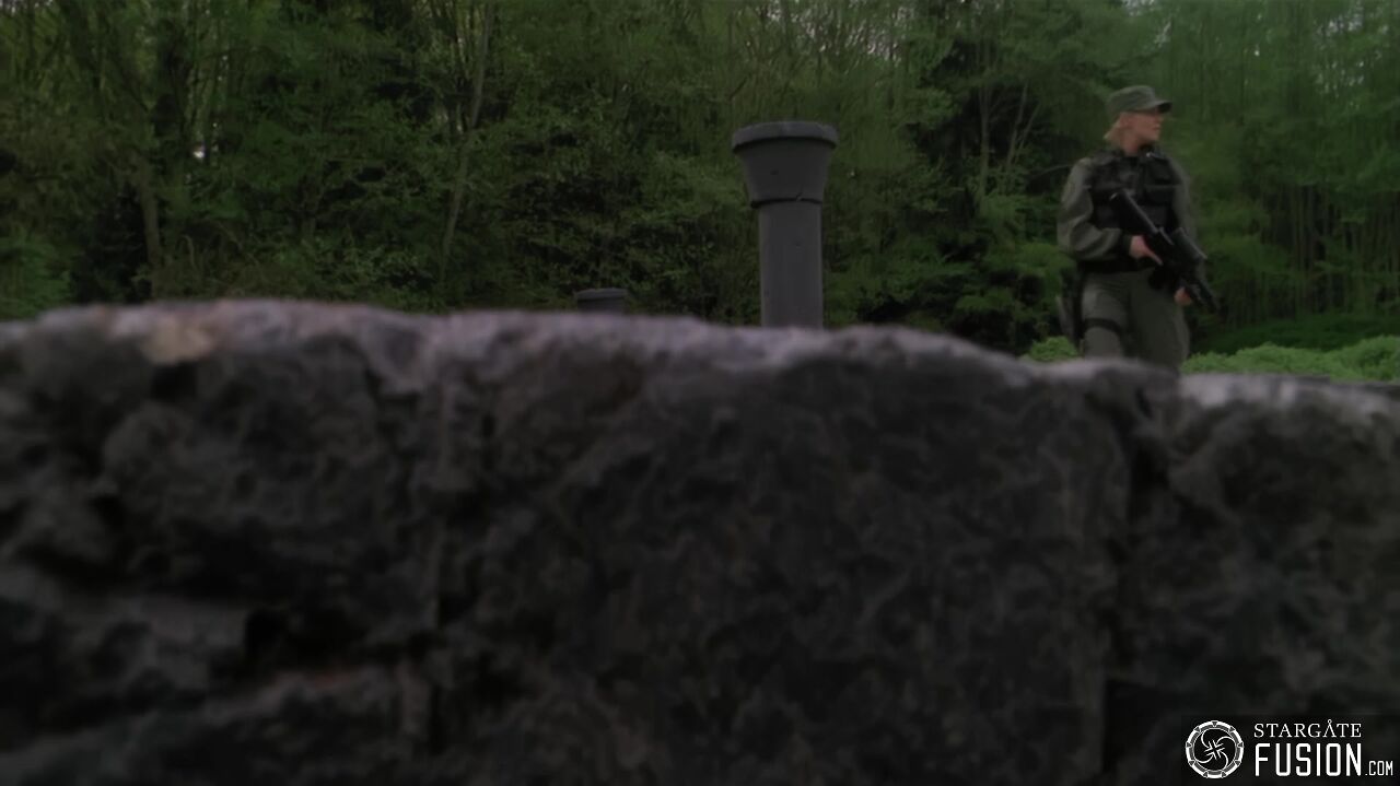 Le Vengeur