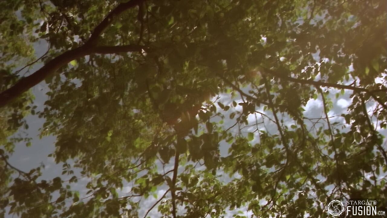 Chimères
