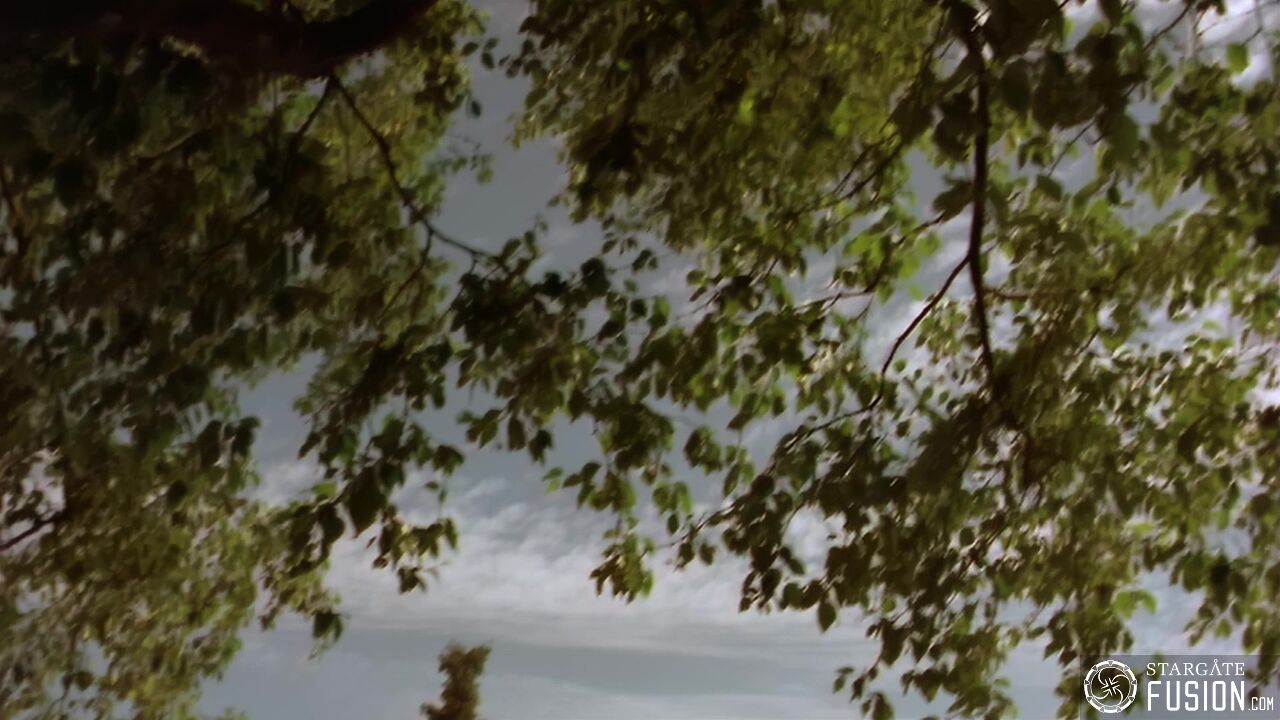 Chimères