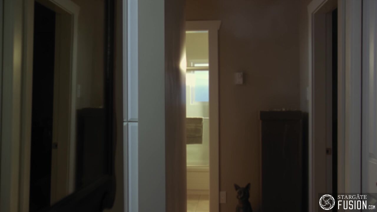 Chimères