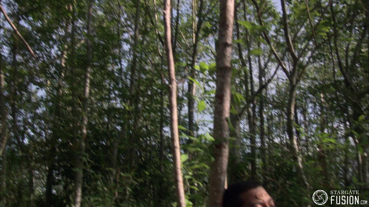 Discordes