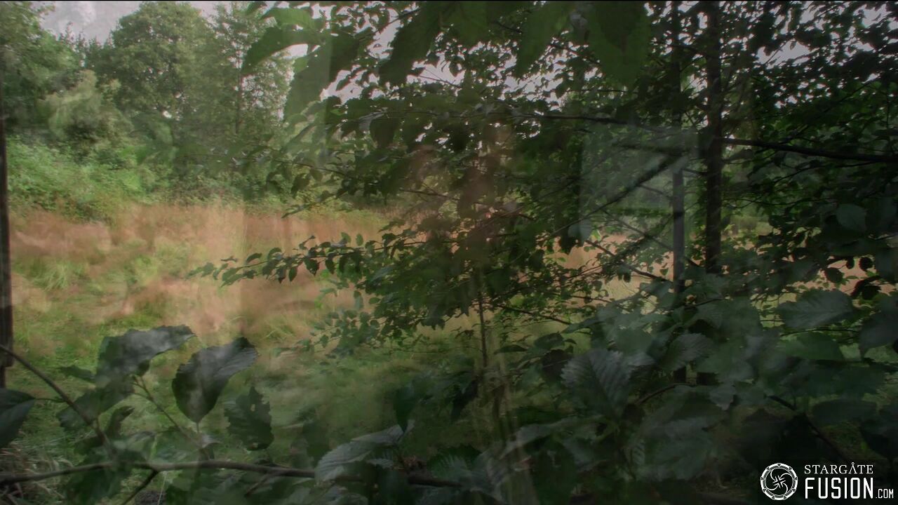 Une vieille connaissance