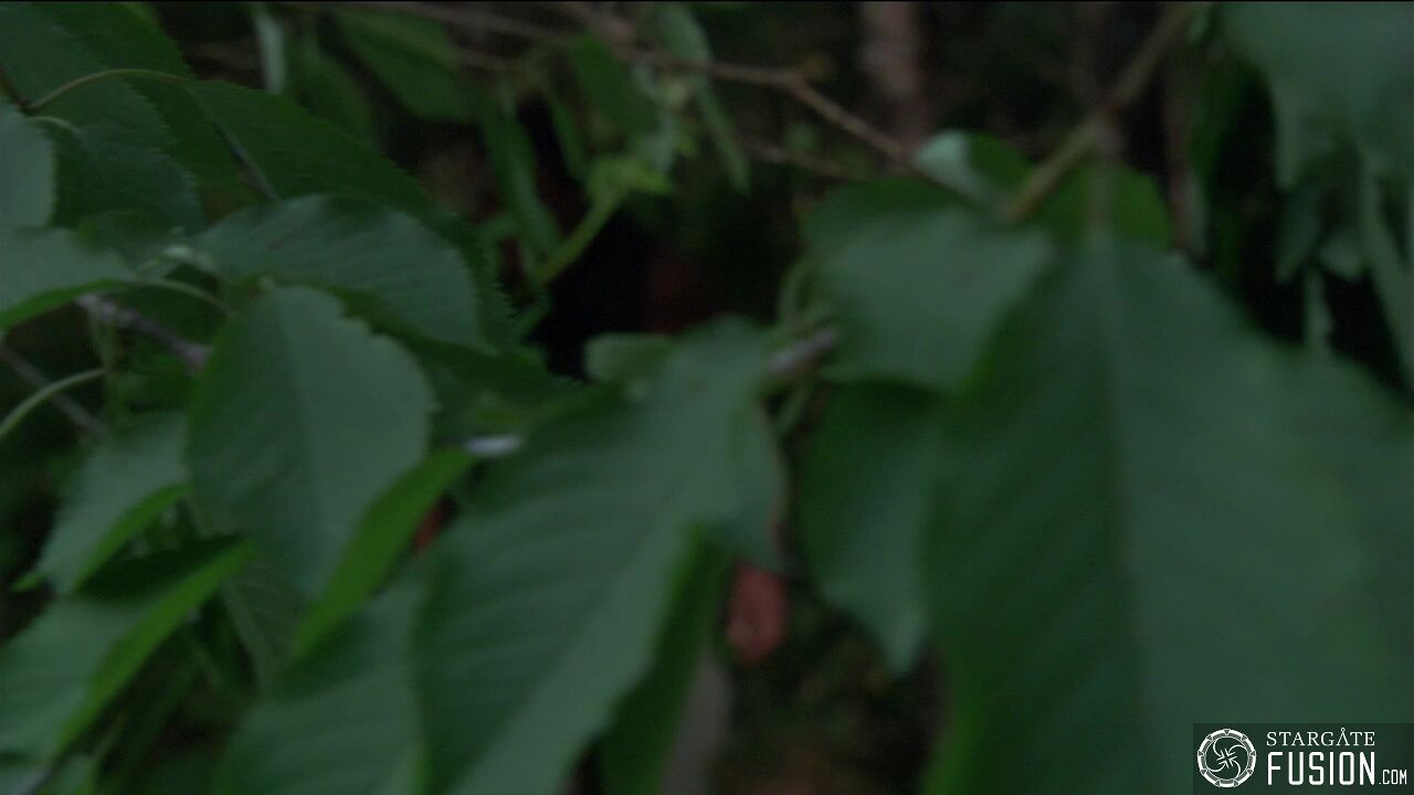 Une vieille connaissance