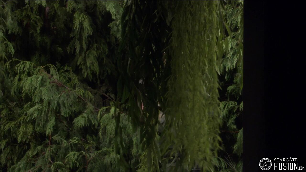 Une vieille connaissance
