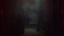 Une dimension trop réelle