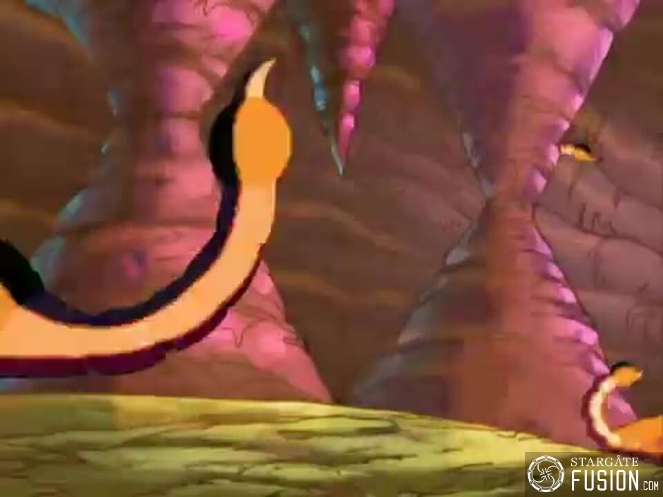 Apparences