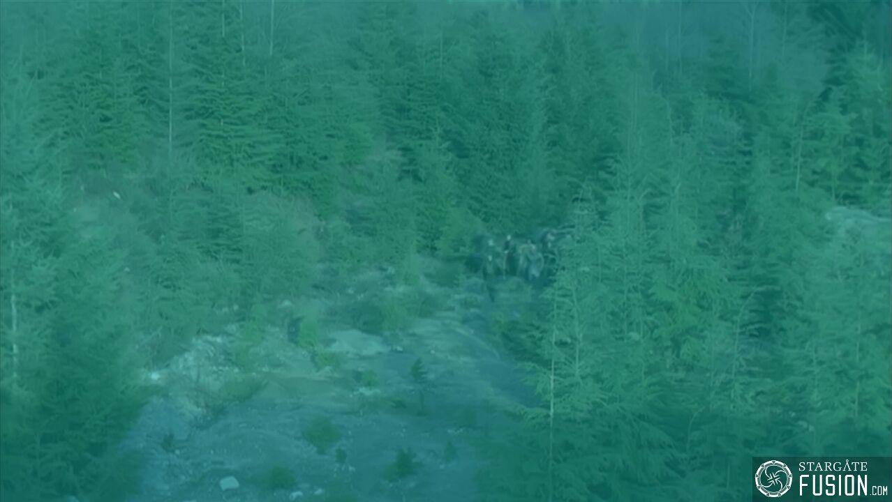 Décision politique