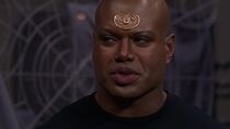 Dans le nid du Serpent