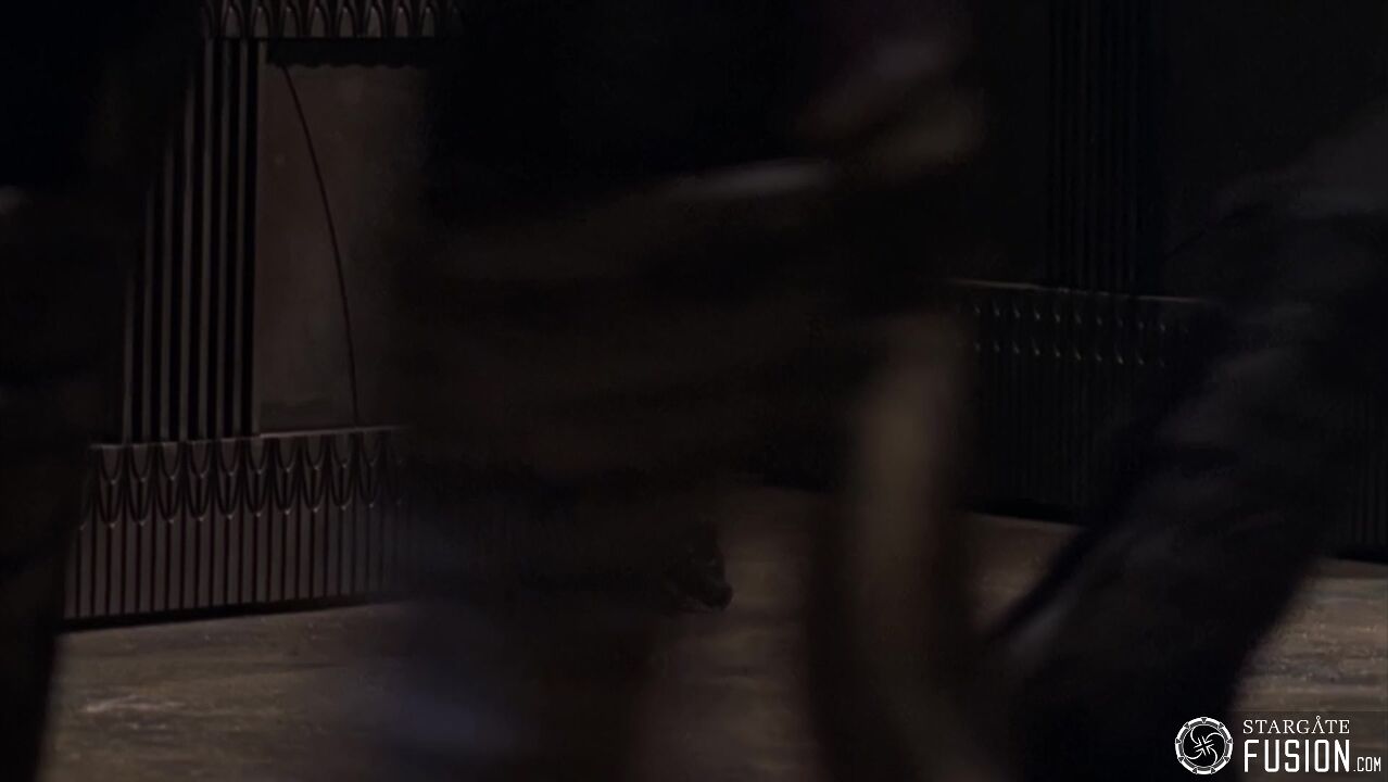 Dans le nid du Serpent