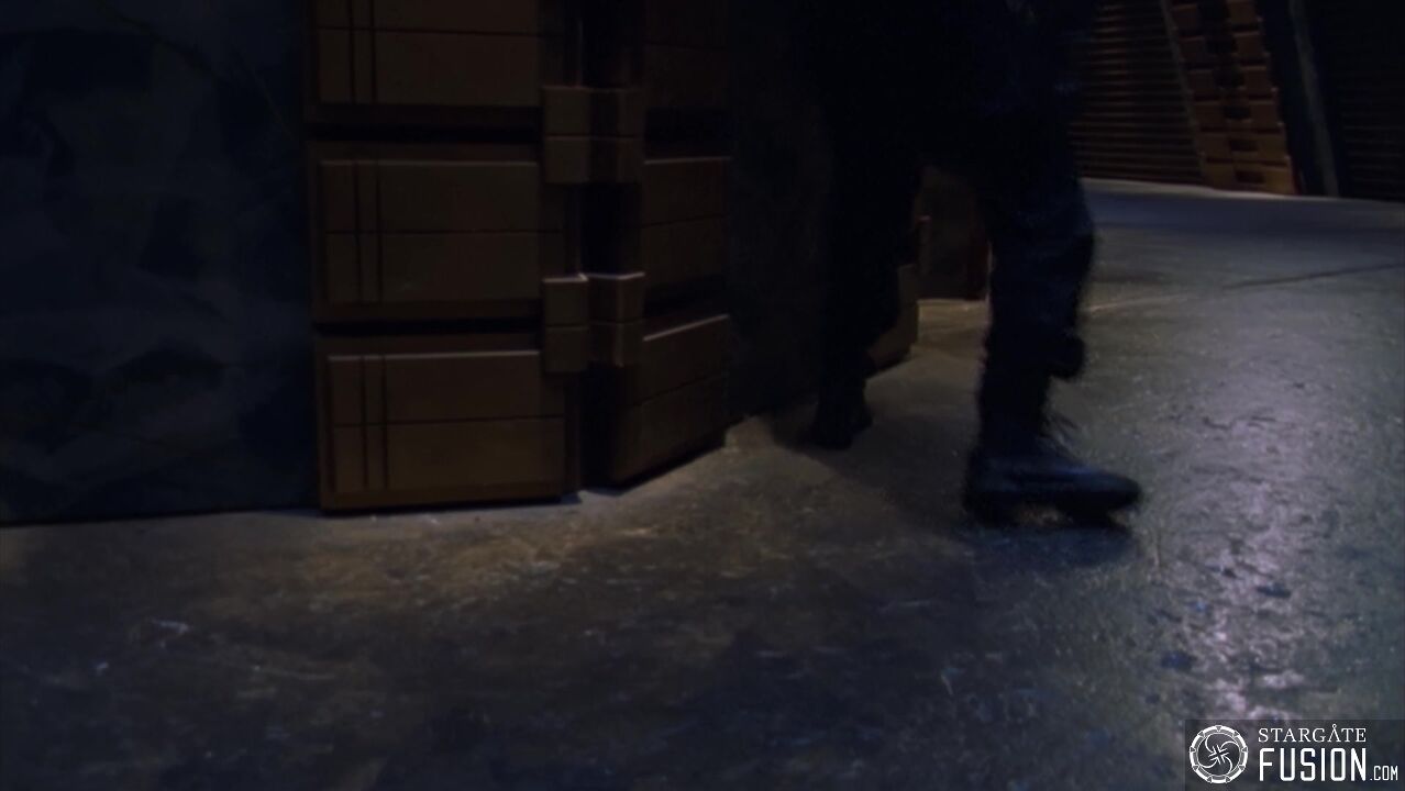 Dans le nid du Serpent