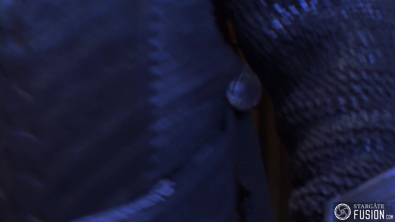 Dans le nid du Serpent