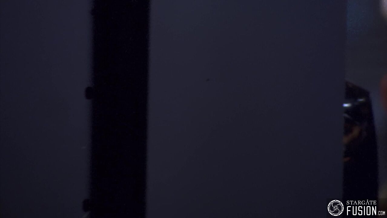 Dans le nid du Serpent