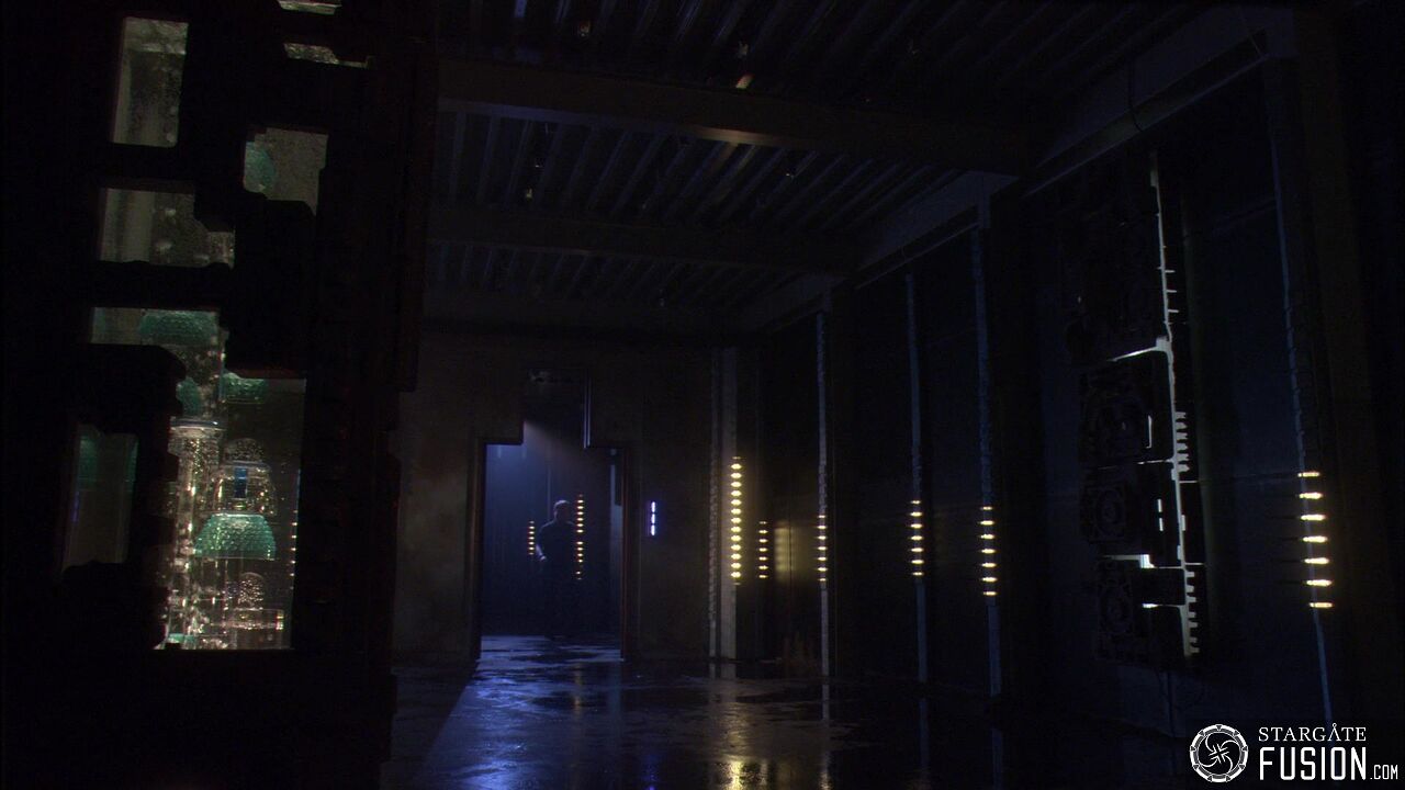 Virus