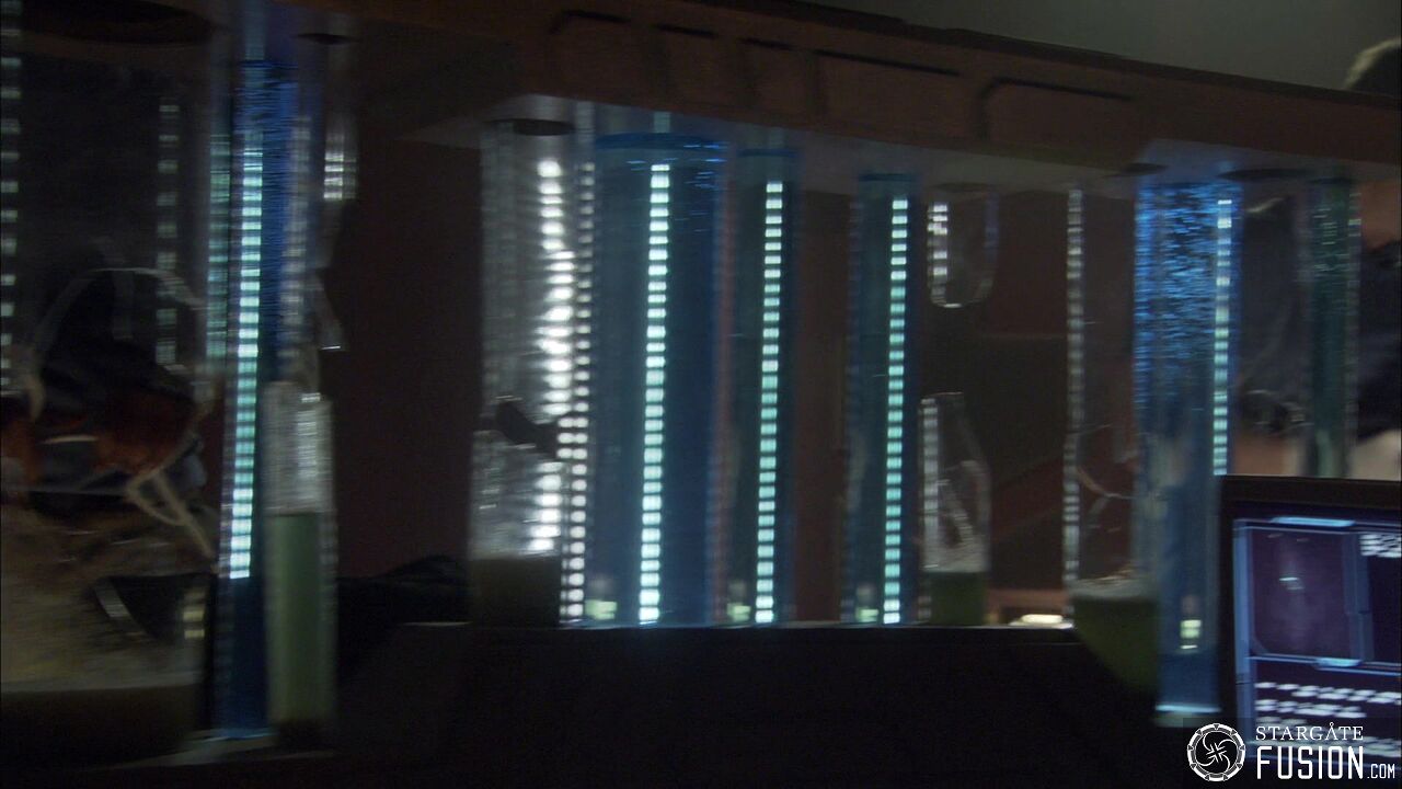 Virus