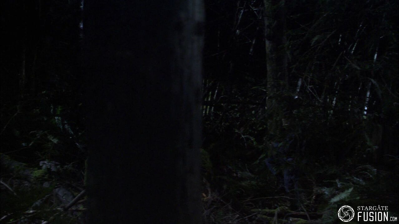 Chasse à l'homme