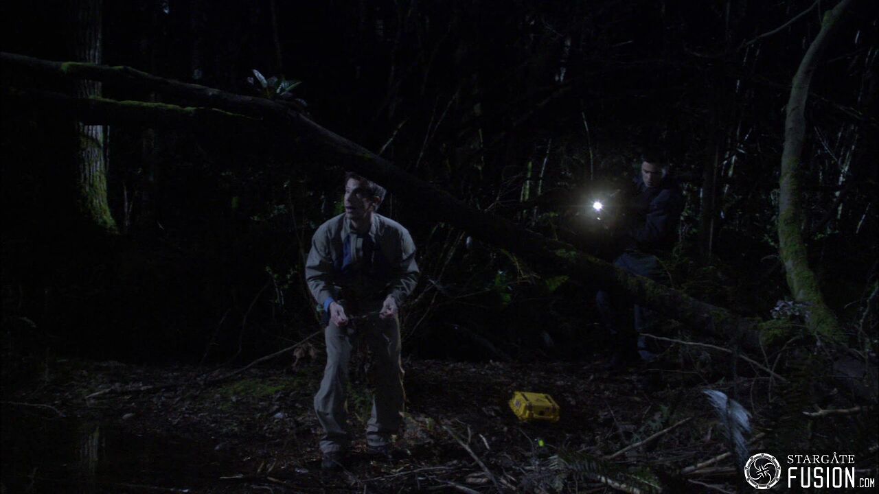 Chasse à l'homme