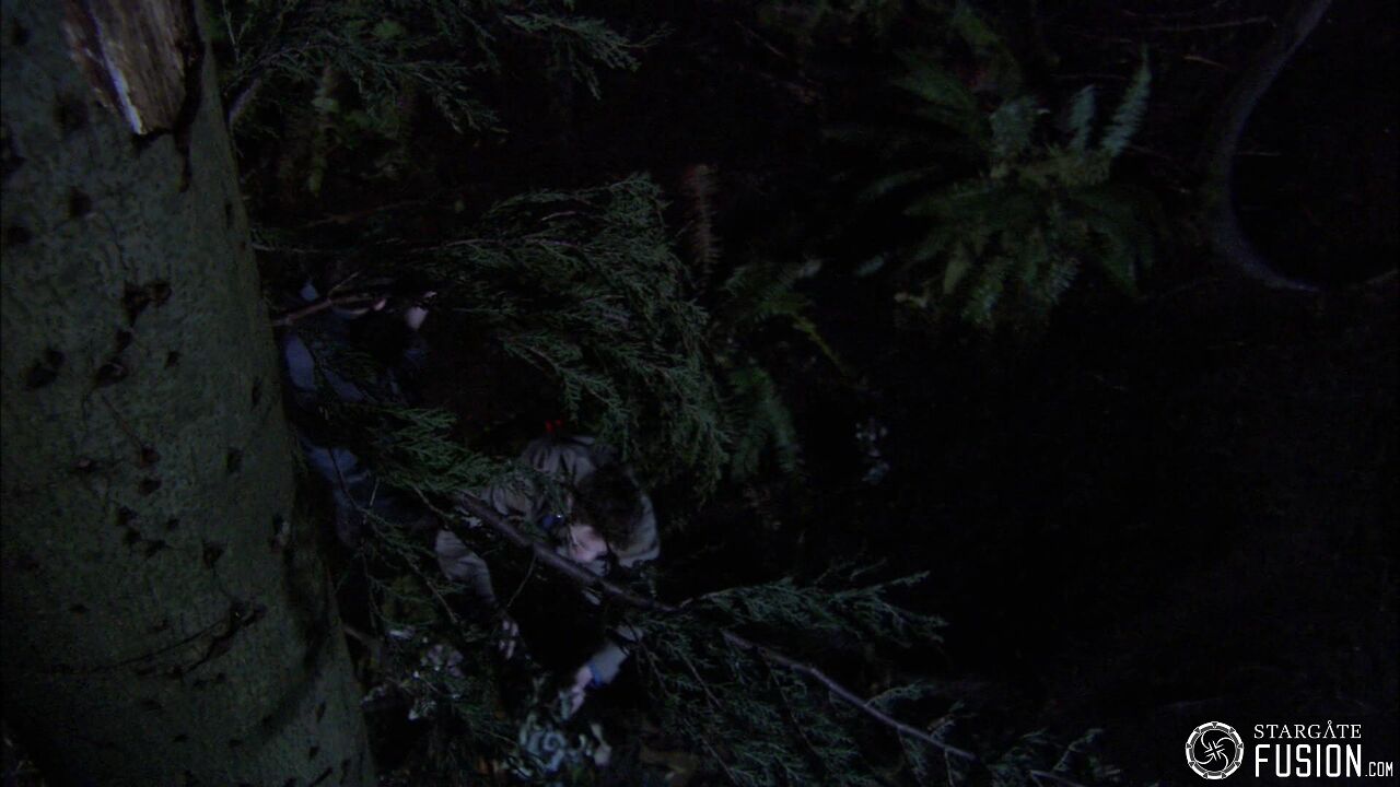 Chasse à l'homme