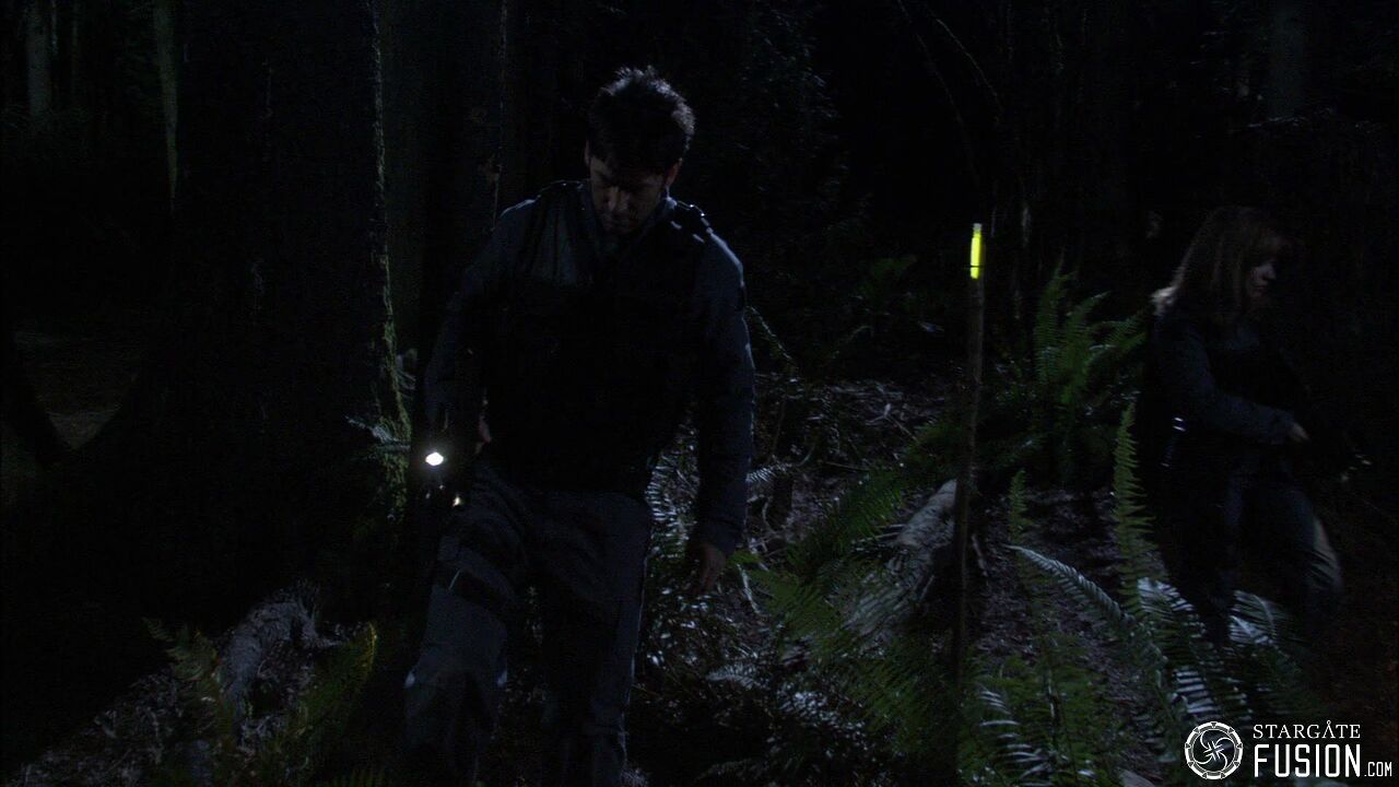 Chasse à l'homme