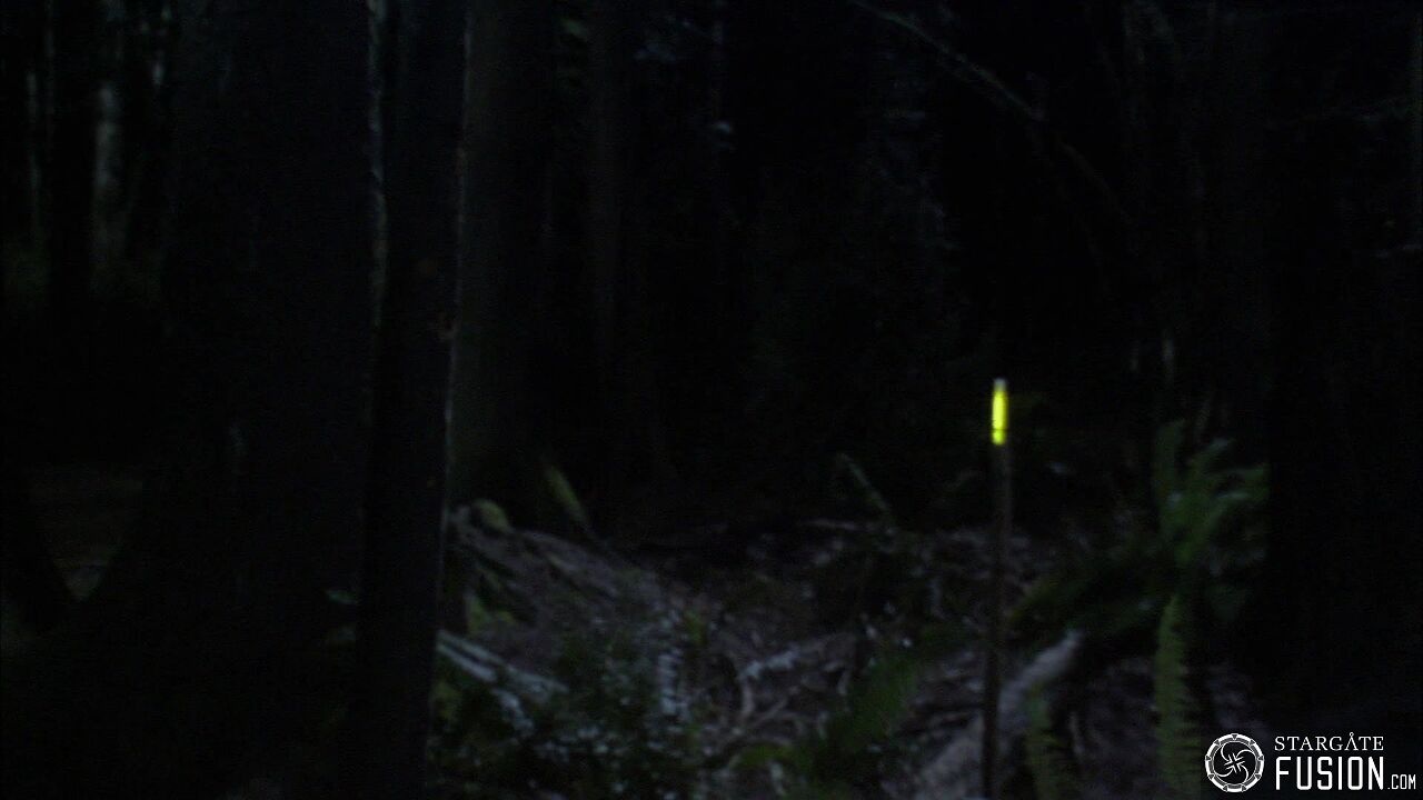 Chasse à l'homme