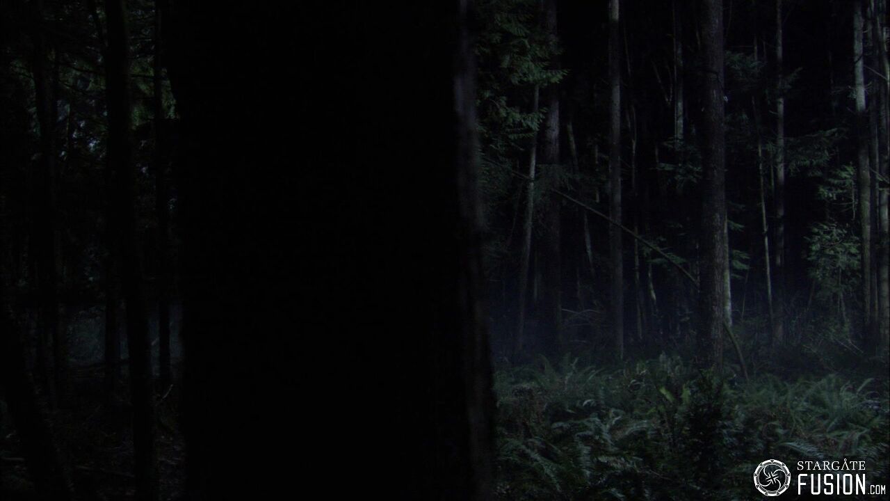 Chasse à l'homme