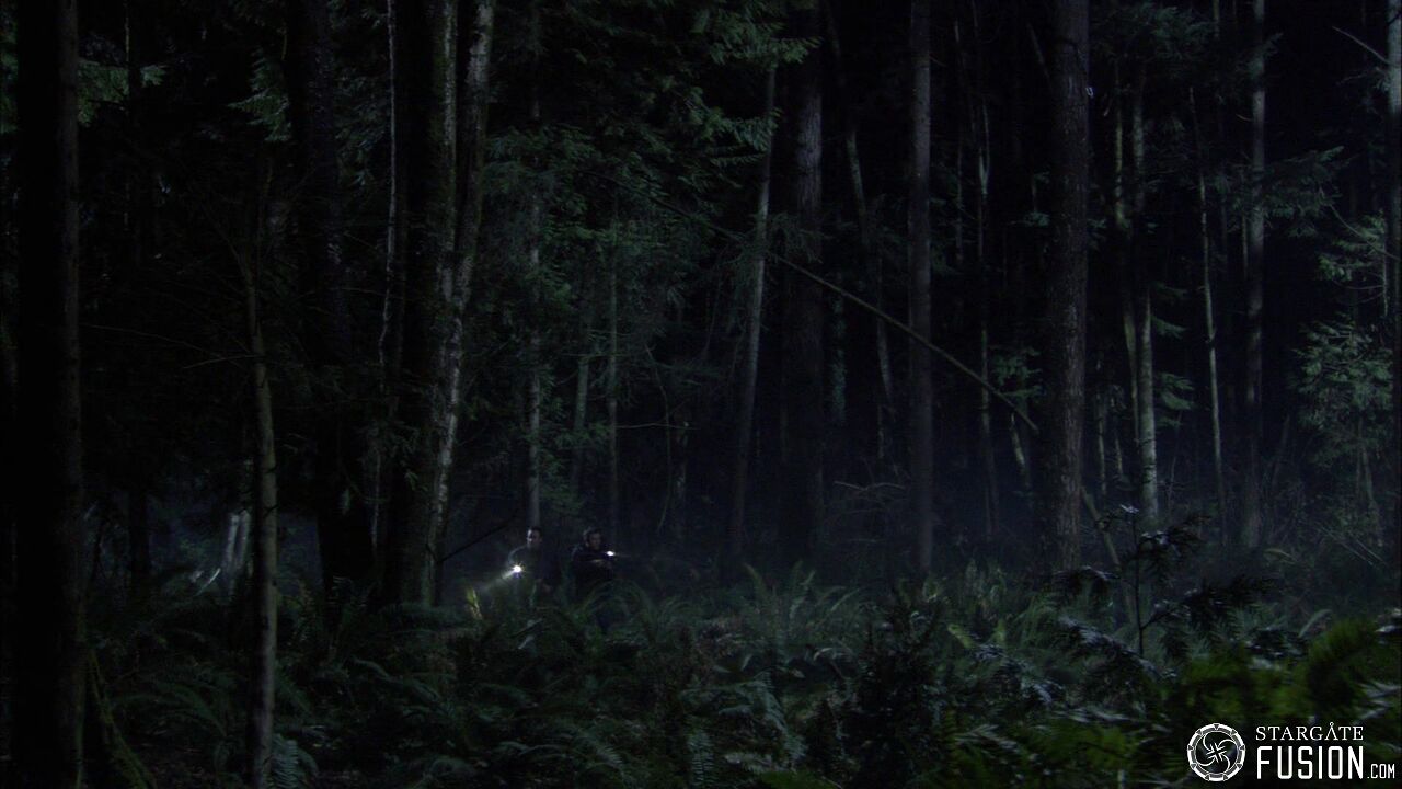 Chasse à l'homme