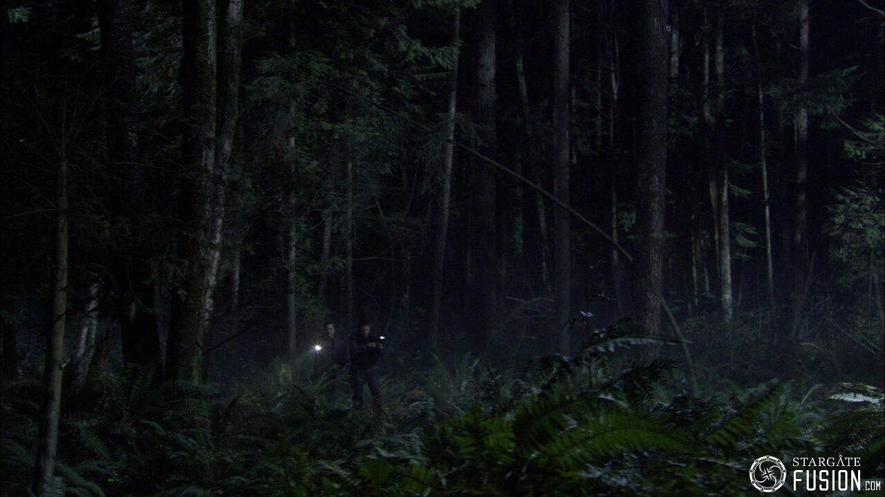 Chasse à l'homme
