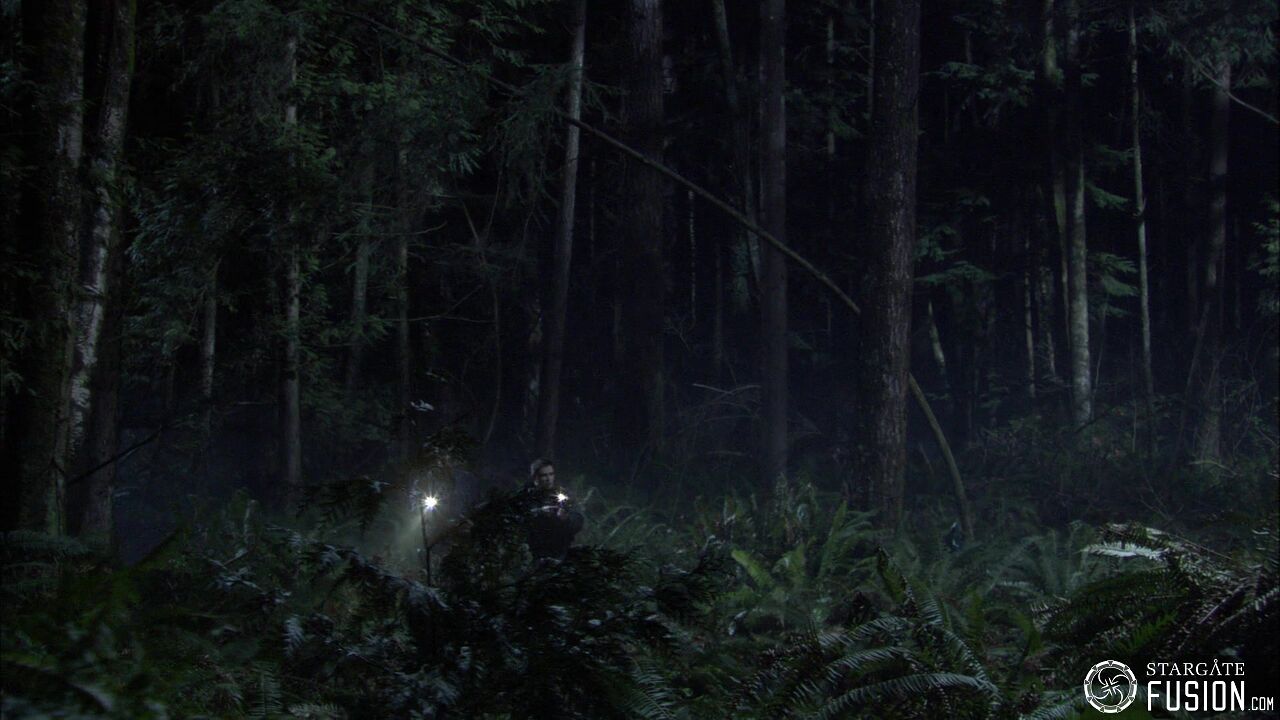 Chasse à l'homme