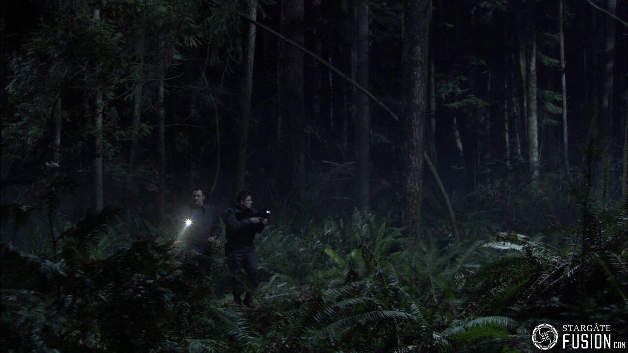 Chasse à l'homme