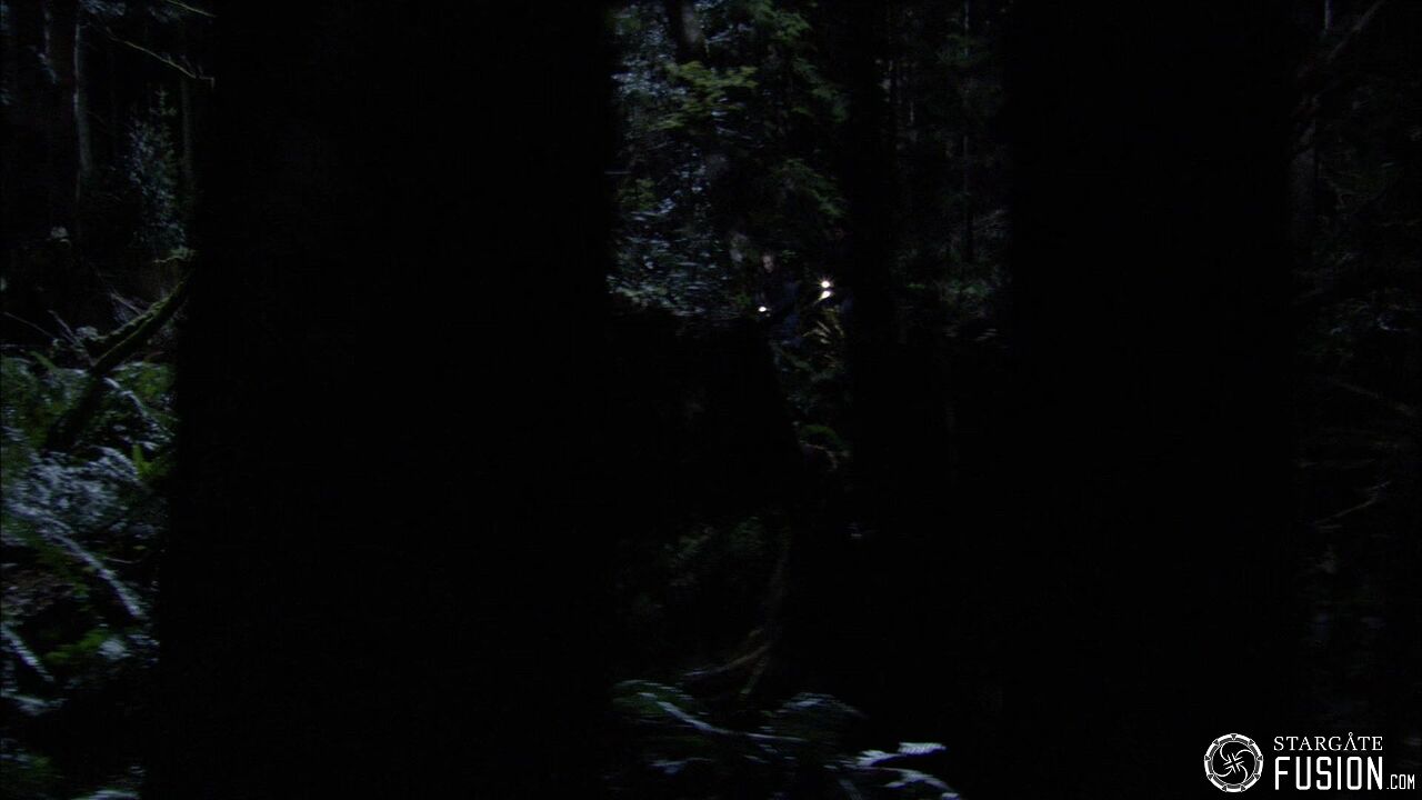 Chasse à l'homme