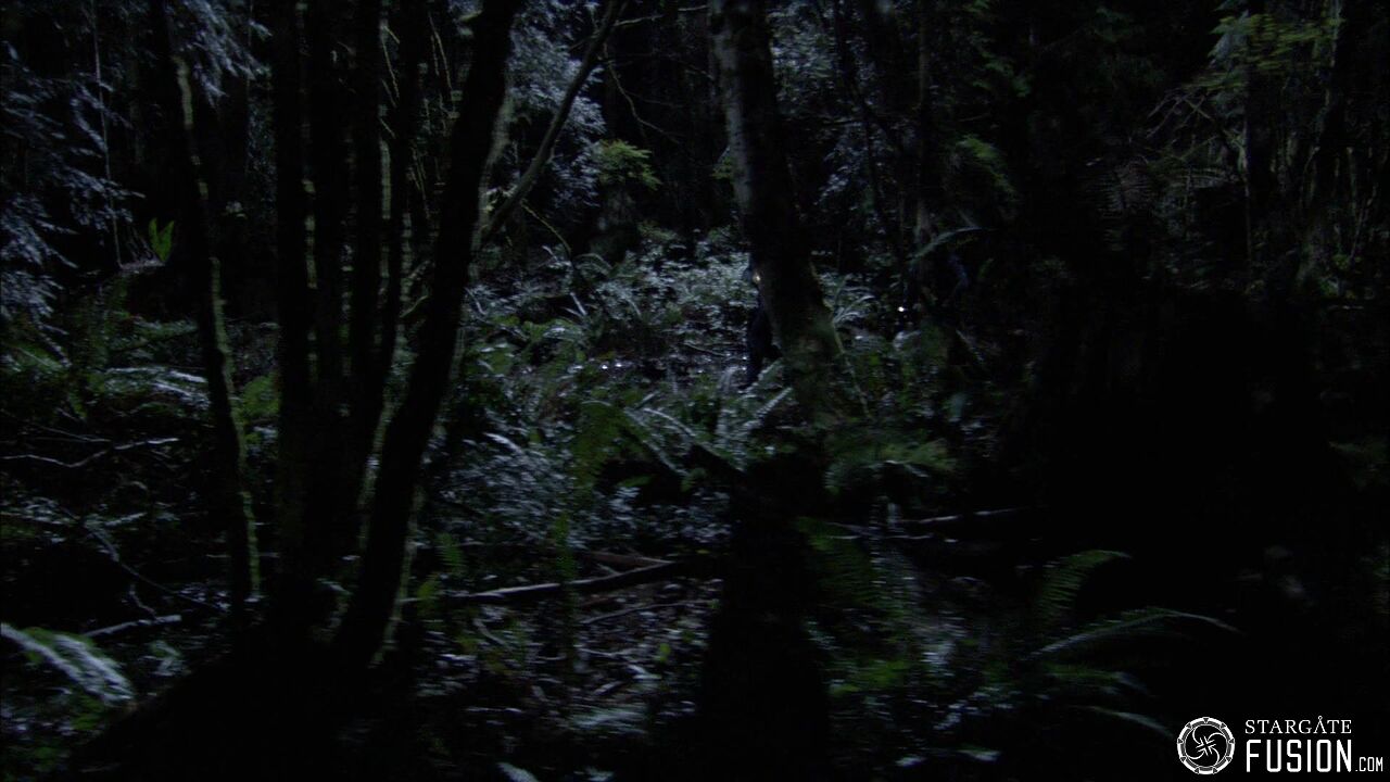 Chasse à l'homme