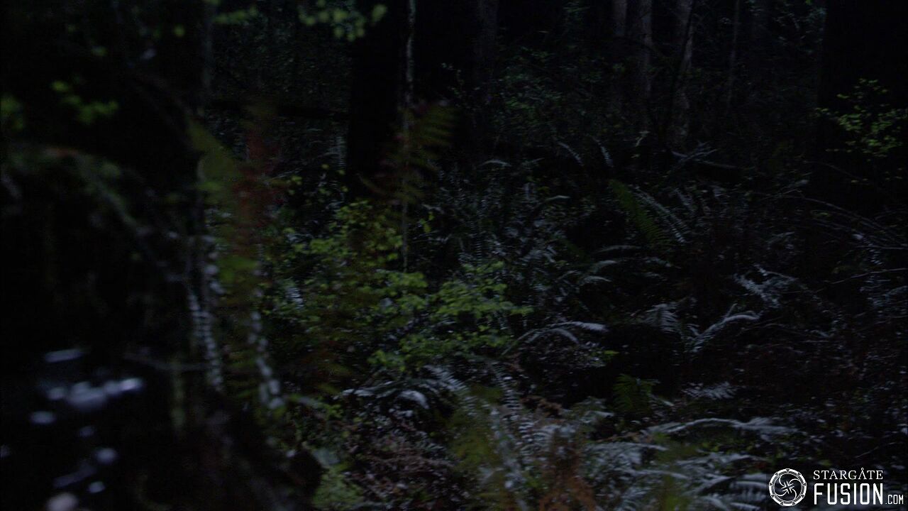 Chasse à l'homme