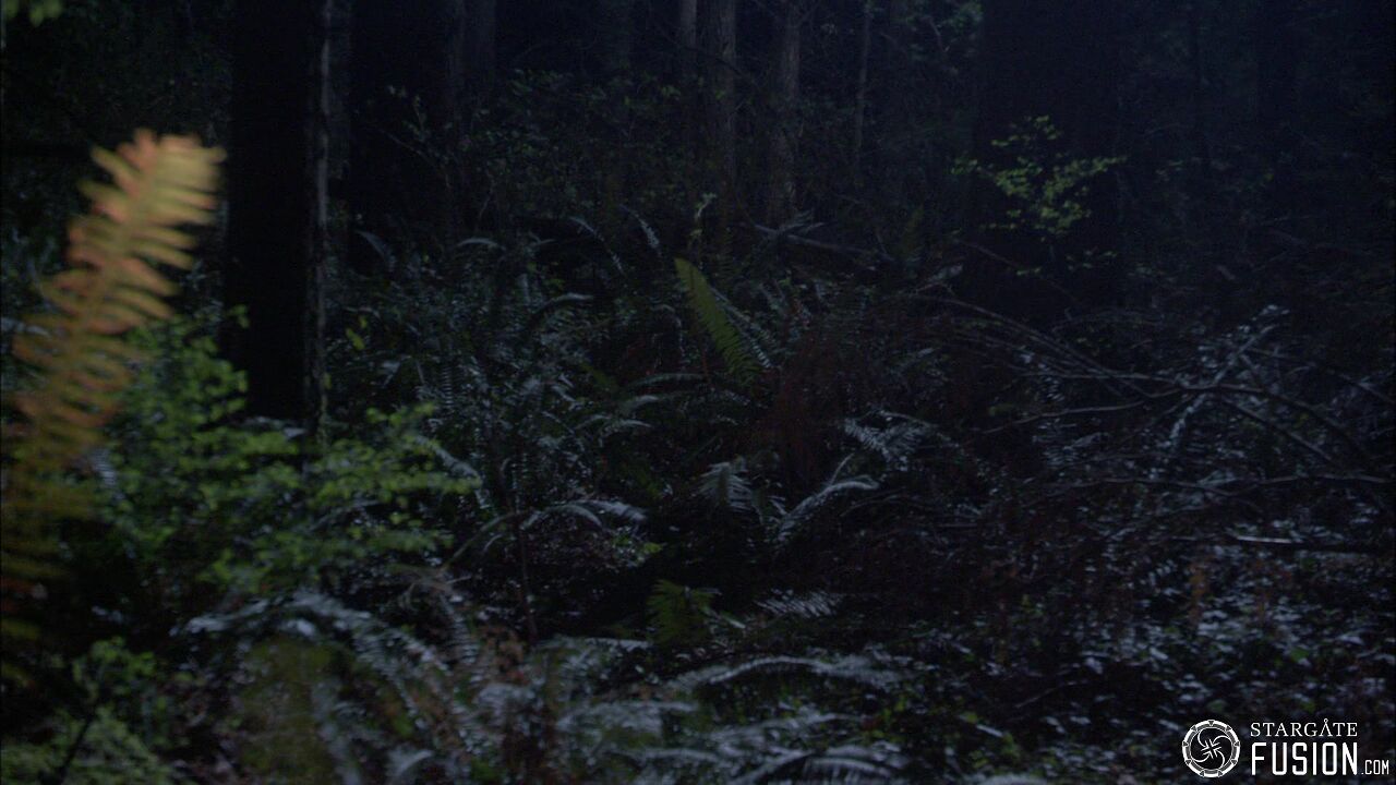 Chasse à l'homme