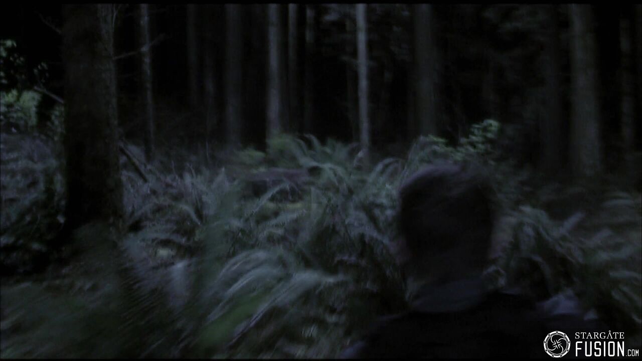 Chasse à l'homme