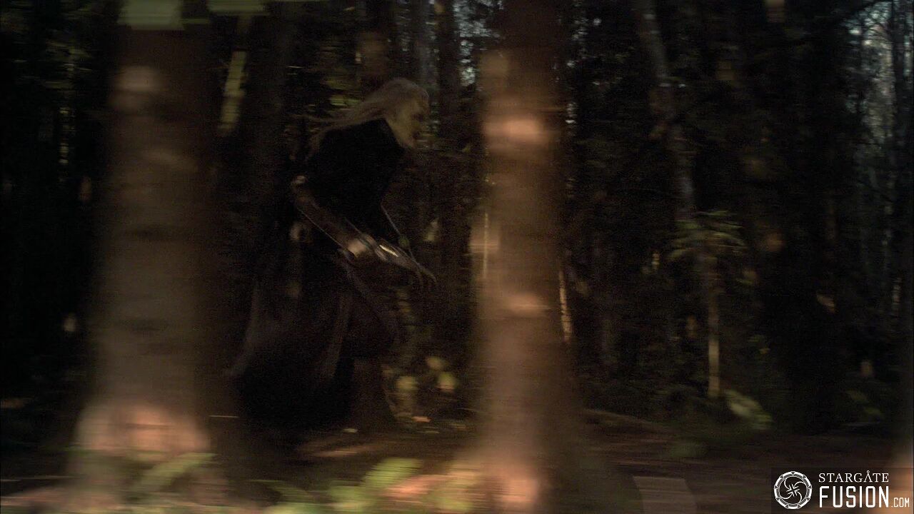 Chasse à l'homme