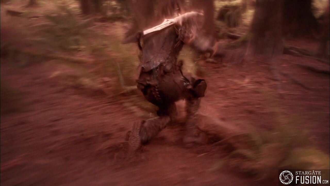 Chasse à l'homme