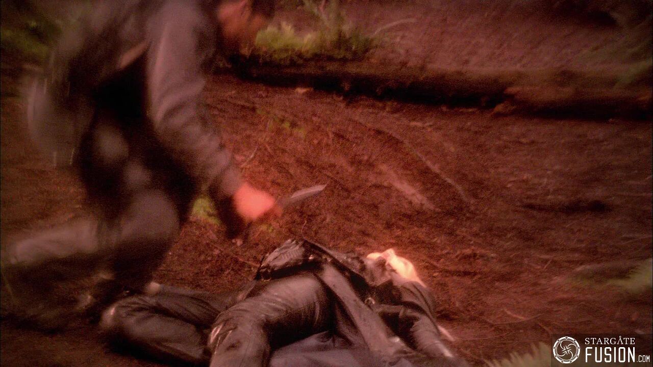 Chasse à l'homme