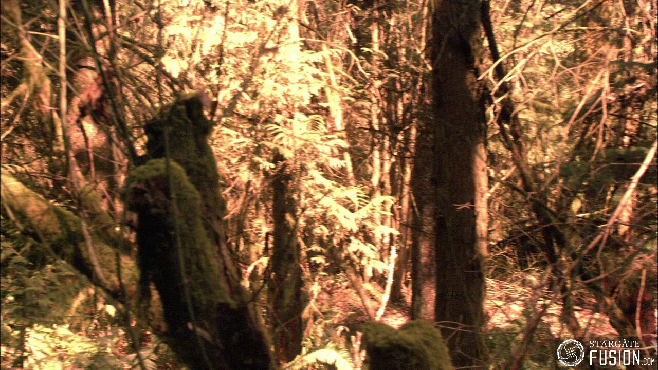 Chasse à l'homme