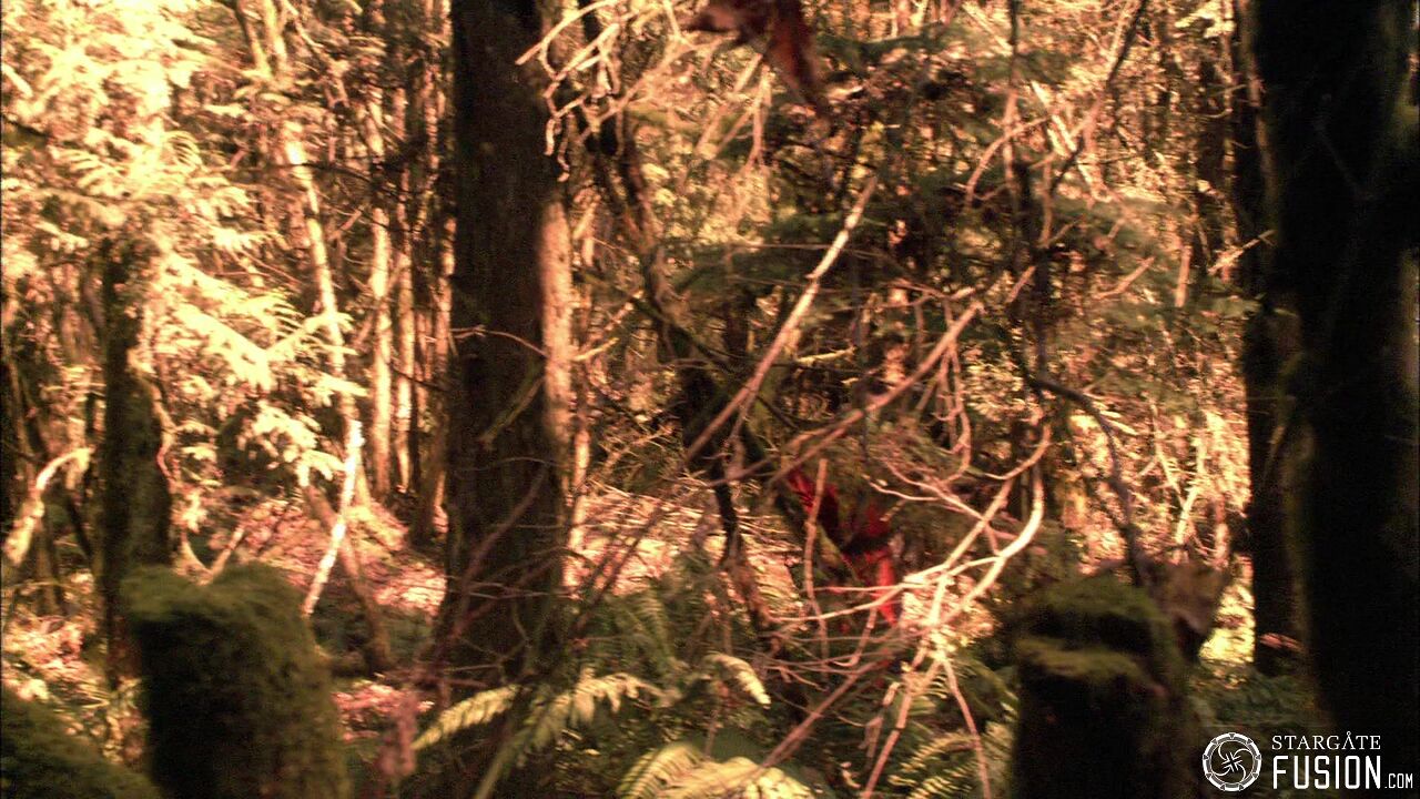 Chasse à l'homme
